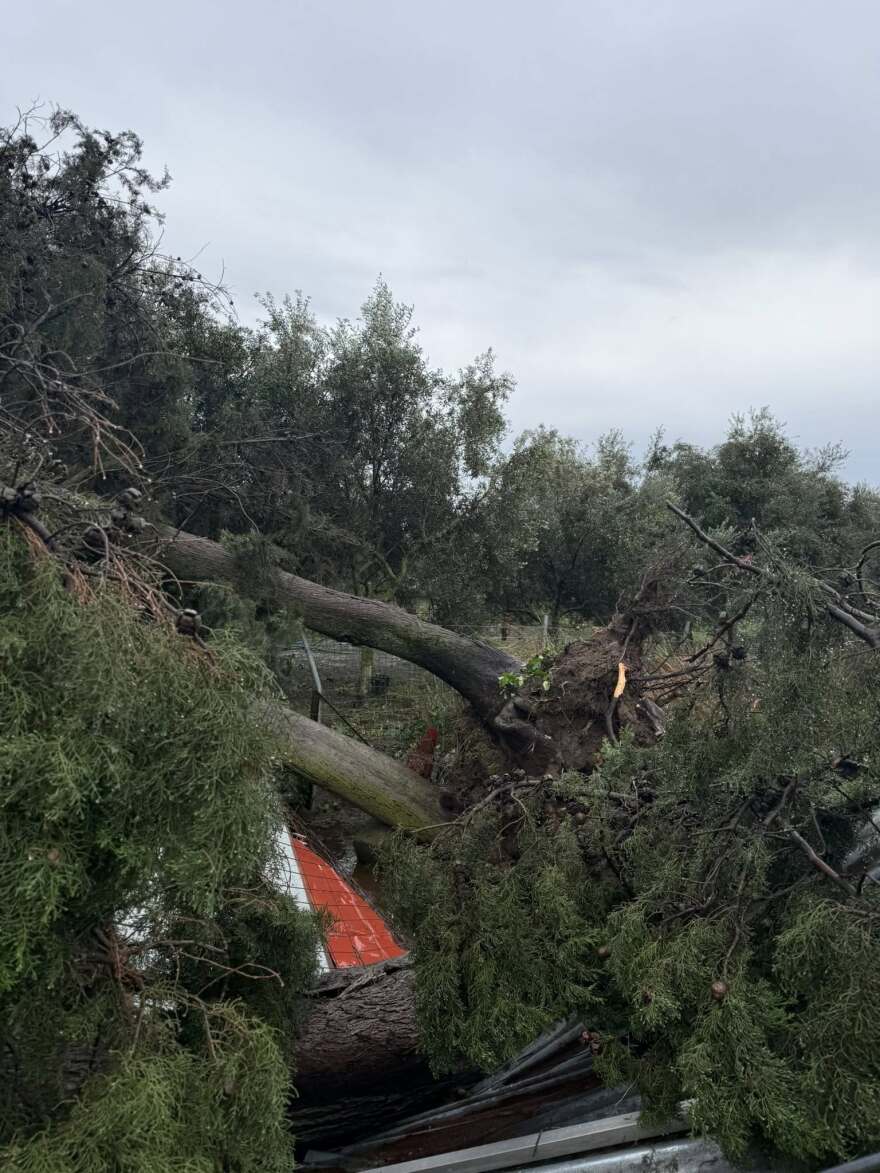 Ανεμοστρόβιλος χτύπησε το Μεσολόγγι: Ξερίζωσε δέντρα και ξήλωσε μεταλλικές κατασκευές, δείτε βίντεο και φωτογραφίες