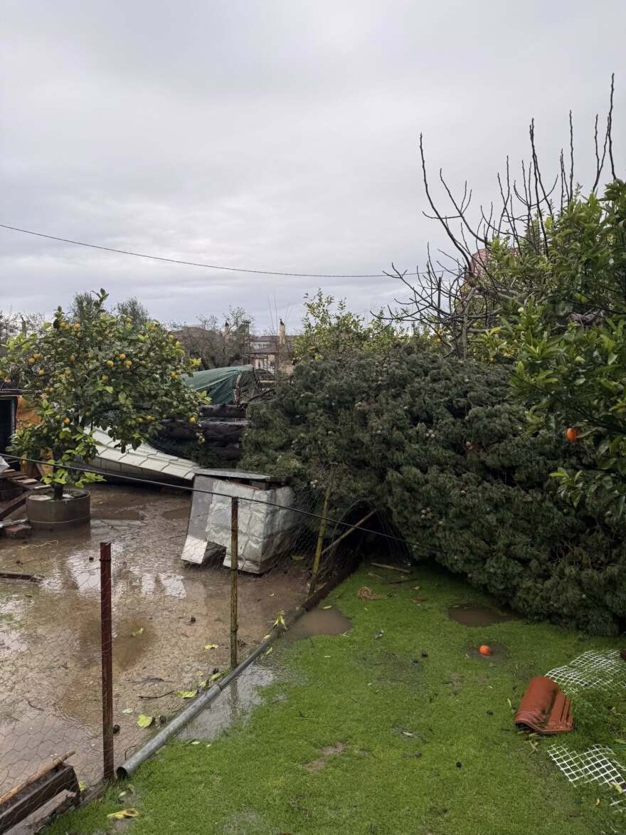 Ανεμοστρόβιλος χτύπησε το Μεσολόγγι: Ξερίζωσε δέντρα και ξήλωσε μεταλλικές κατασκευές, δείτε βίντεο και φωτογραφίες