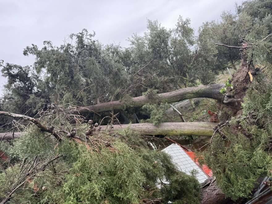 Ανεμοστρόβιλος χτύπησε το Μεσολόγγι: Ξερίζωσε δέντρα και ξήλωσε μεταλλικές κατασκευές, δείτε βίντεο και φωτογραφίες