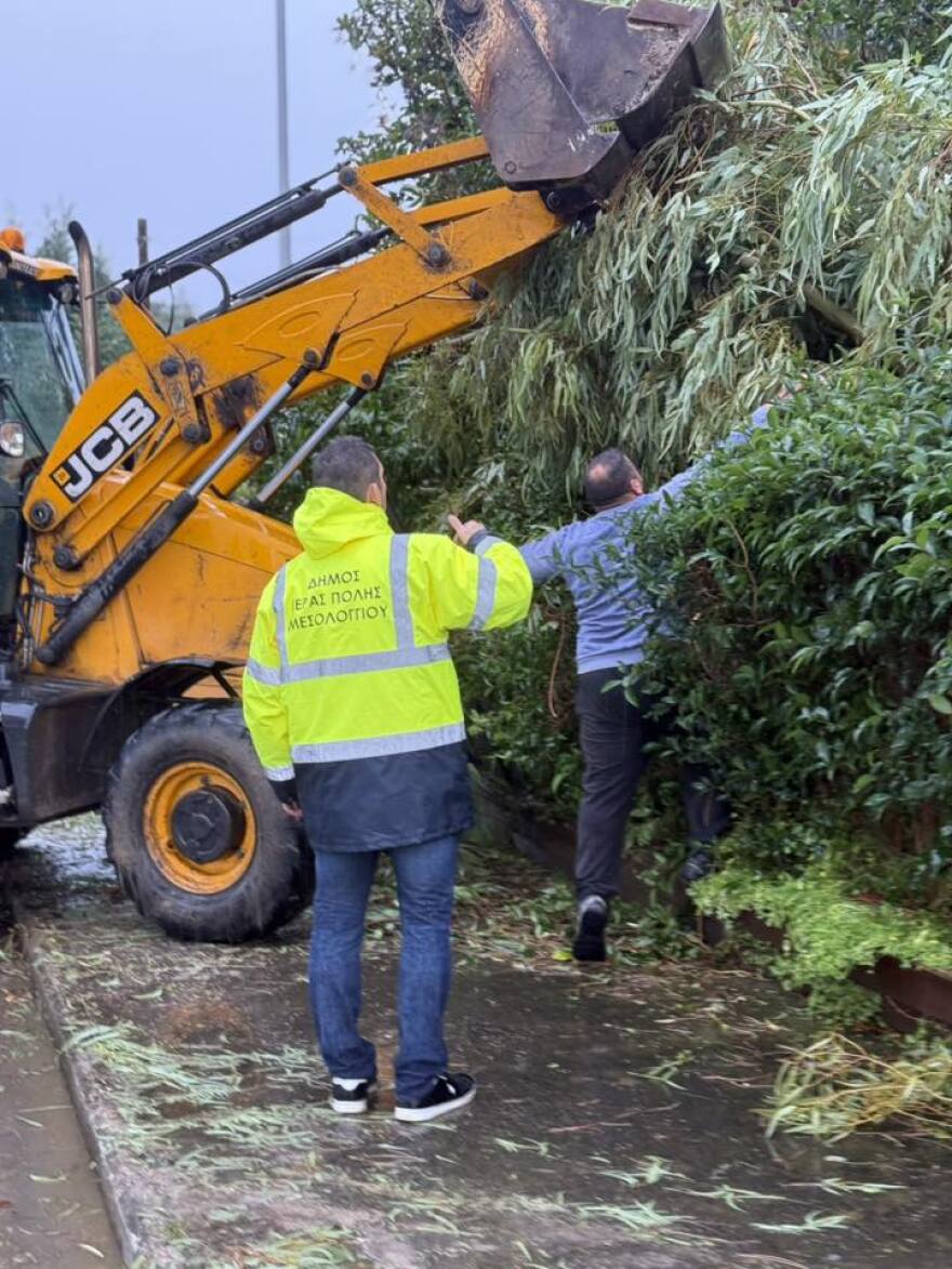 Ανεμοστρόβιλος χτύπησε το Μεσολόγγι: Ξερίζωσε δέντρα και ξήλωσε μεταλλικές κατασκευές, δείτε βίντεο και φωτογραφίες