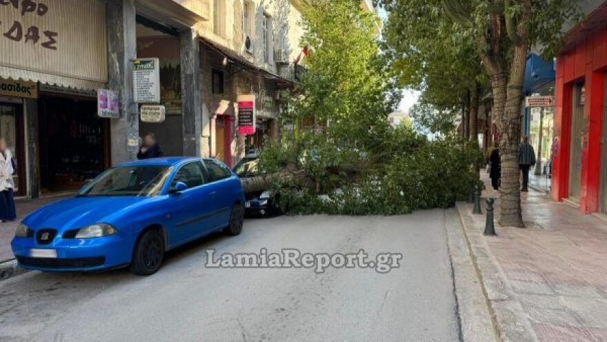 Λαμία: Μεγάλο δέντρο έπεσε πάνω σε αυτοκίνητα στο κέντρο και έκλεισε τον δρόμο, δείτε βίντεο και φωτογραφίες
