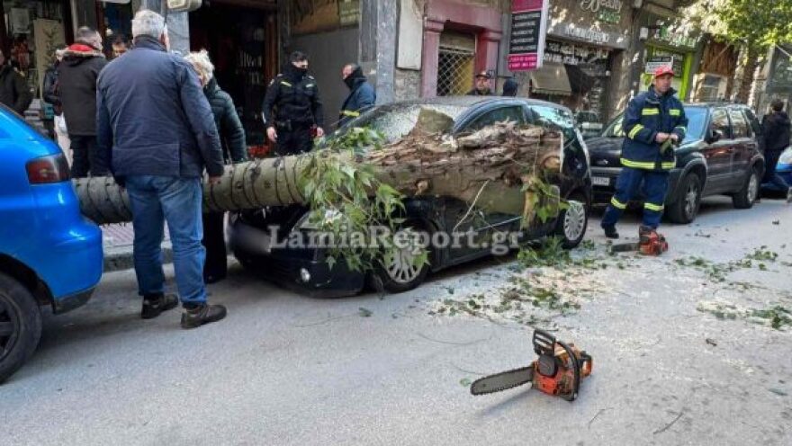 Λαμία: Μεγάλο δέντρο έπεσε πάνω σε αυτοκίνητα στο κέντρο και έκλεισε τον δρόμο, δείτε βίντεο και φωτογραφίες