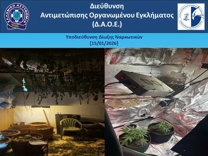 Εξαρθρώθηκε από το ελληνικό FBI εγκληματική οργάνωση για καλλιέργεια και διακίνηση κάνναβης στη Ρόδο 