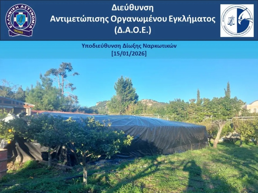 Εξαρθρώθηκε από το ελληνικό FBI εγκληματική οργάνωση για καλλιέργεια και διακίνηση κάνναβης στη Ρόδο 