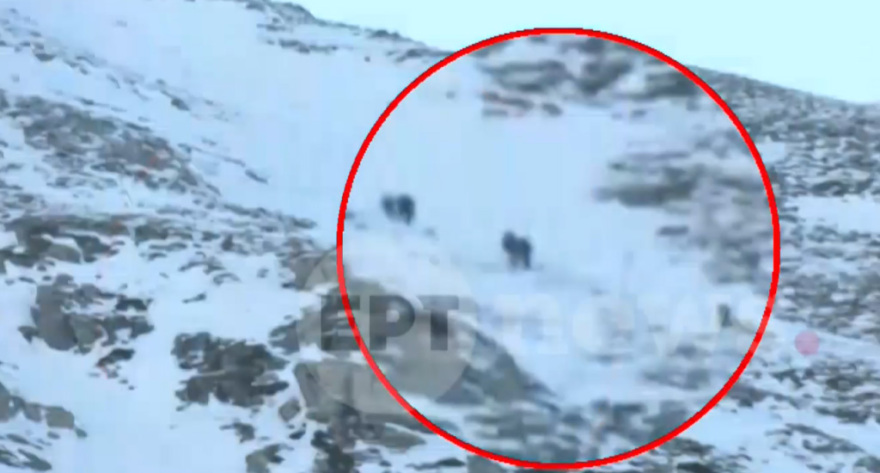 diasosi-taigetos__4_