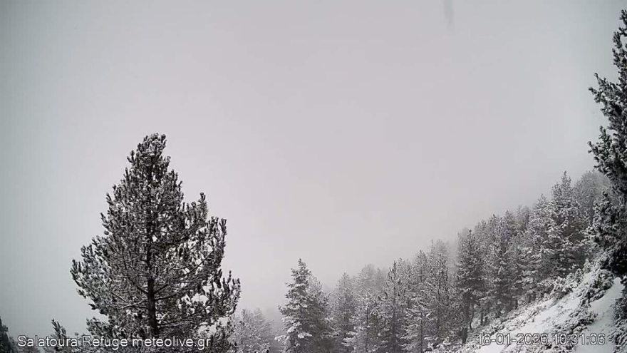 &Chi;&iota;ό&nu;&iota;&alpha; &kappa;&alpha;&iota; &chi;&alpha;&mu;&eta;&lambda;έ&sigmaf; &theta;&epsilon;&rho;&mu;&omicron;&kappa;&rho;&alpha;&sigma;ί&epsilon;&sigmaf; &sigma;&epsilon; &Pi;ή&lambda;&iota;&omicron;, &omicron;&rho;&epsilon;&iota;&nu;ή &Phi;&theta;&iota;ώ&tau;&iota;&delta;&alpha;, &Kappa;&alpha;&lambda;ά&beta;&rho;&upsilon;&tau;&alpha; &kappa;&alpha;&iota; &Tau;&rho;ί&kappa;&alpha;&lambda;&alpha; &Kappa;&omicron;&rho;&iota;&nu;&theta;ί&alpha;&sigmaf;, &delta;&epsilon;ί&tau;&epsilon; &beta;ί&nu;&tau;&epsilon;&omicron; 