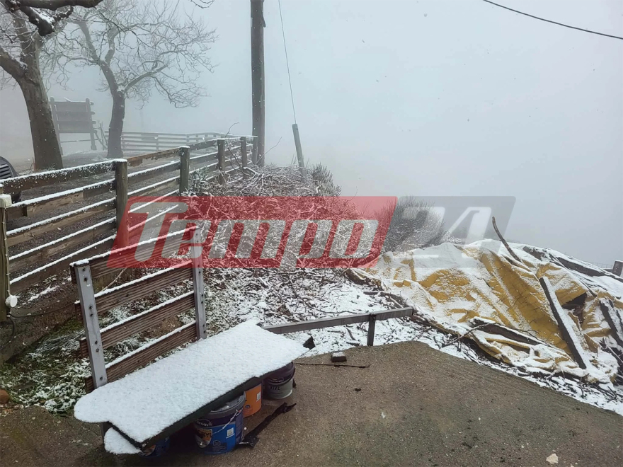 &Chi;&iota;ό&nu;&iota;&alpha; &kappa;&alpha;&iota; &chi;&alpha;&mu;&eta;&lambda;έ&sigmaf; &theta;&epsilon;&rho;&mu;&omicron;&kappa;&rho;&alpha;&sigma;ί&epsilon;&sigmaf; &sigma;&epsilon; &Pi;ή&lambda;&iota;&omicron;, &omicron;&rho;&epsilon;&iota;&nu;ή &Phi;&theta;&iota;ώ&tau;&iota;&delta;&alpha;, &Kappa;&alpha;&lambda;ά&beta;&rho;&upsilon;&tau;&alpha; &kappa;&alpha;&iota; &Tau;&rho;ί&kappa;&alpha;&lambda;&alpha; &Kappa;&omicron;&rho;&iota;&nu;&theta;ί&alpha;&sigmaf;, &delta;&epsilon;ί&tau;&epsilon; &beta;ί&nu;&tau;&epsilon;&omicron; 