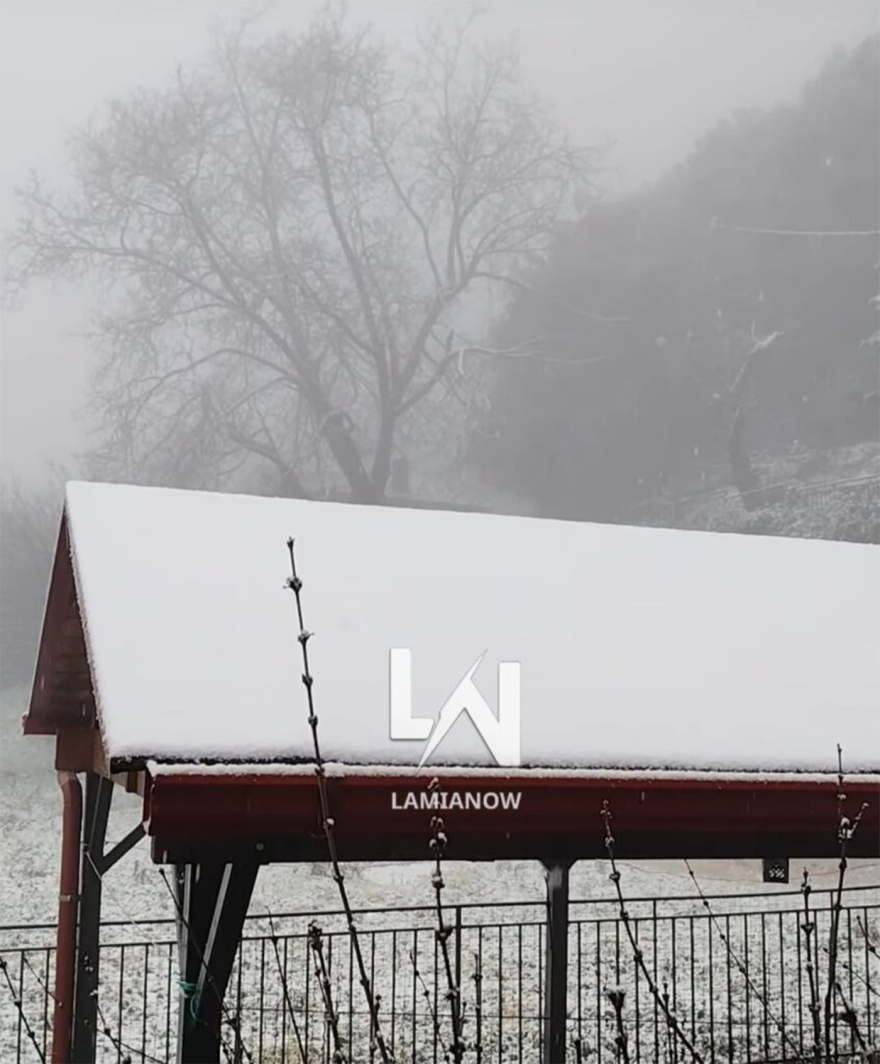 &Chi;&iota;ό&nu;&iota;&alpha; &kappa;&alpha;&iota; &chi;&alpha;&mu;&eta;&lambda;έ&sigmaf; &theta;&epsilon;&rho;&mu;&omicron;&kappa;&rho;&alpha;&sigma;ί&epsilon;&sigmaf; &sigma;&epsilon; &Pi;ή&lambda;&iota;&omicron;, &omicron;&rho;&epsilon;&iota;&nu;ή &Phi;&theta;&iota;ώ&tau;&iota;&delta;&alpha;, &Kappa;&alpha;&lambda;ά&beta;&rho;&upsilon;&tau;&alpha; &kappa;&alpha;&iota; &Tau;&rho;ί&kappa;&alpha;&lambda;&alpha; &Kappa;&omicron;&rho;&iota;&nu;&theta;ί&alpha;&sigmaf;, &delta;&epsilon;ί&tau;&epsilon; &beta;ί&nu;&tau;&epsilon;&omicron; 