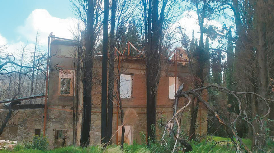 Πώς θα είναι το νέο Τατόι - Ανοιχτά ανάκτορα, μουσεία και πολιτισμός