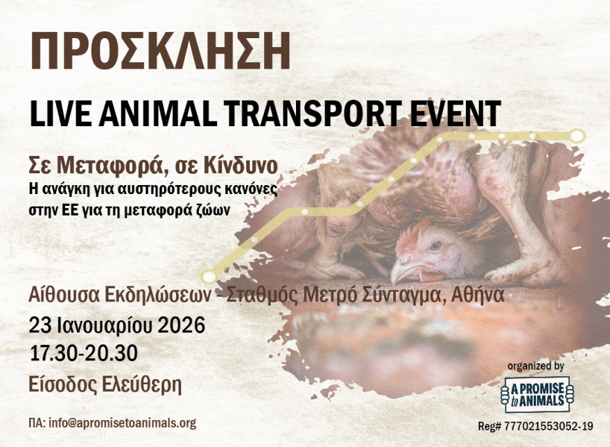 Aνοιχτή εκδήλωση για τη μεταφορά ζώντων παραγωγικών ζώων από την «A Promise to Animals»  