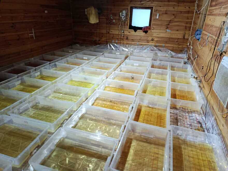 Σκηνές από το «Breaking Bad» στην Πολωνία με εργαστήριο ναρκωτικών, δείτε βίντεο και φωτογραφίες 
