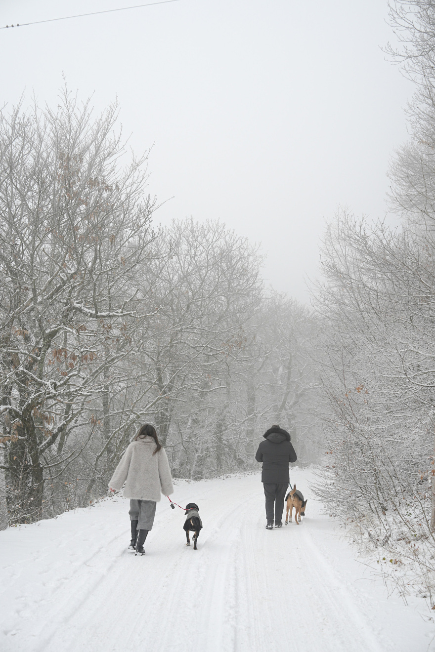 Πού χιονίζει τώρα: Δείτε live εικόνα από όλη την Ελλάδα - Ο χάρτης της κακοκαιρίας