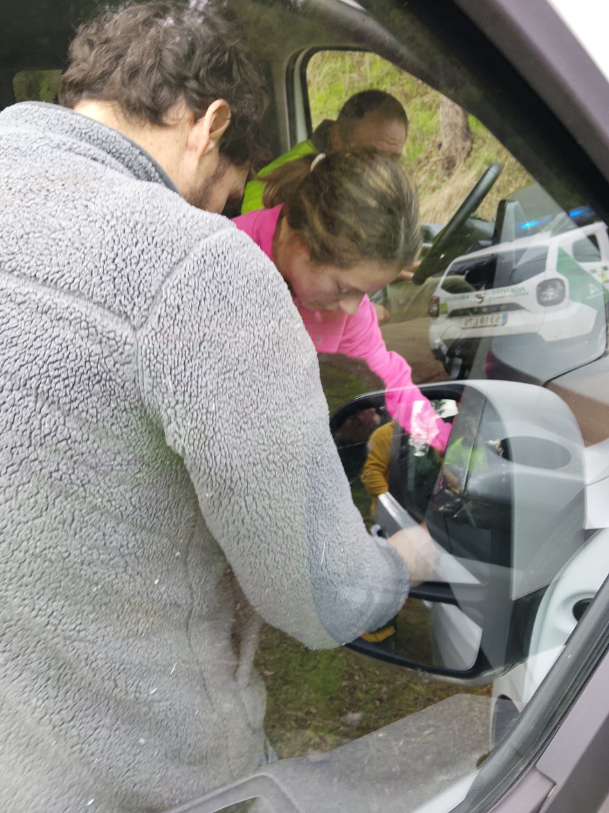 Σκύλος που αγνοούνταν μετά τη σιδηροδρομική τραγωδία στην Ισπανία διασώθηκε έπειτα από τέσσερις ημέρες