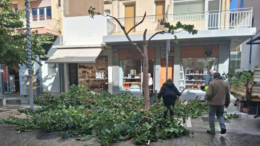 Προβλήματα από την κακοκαιρία στην Κρήτη, δείτε βίντεο με τους πλημμυρισμένους δρόμους - Συνεργεία του δήμου κόβουν προληπτικά δέντρα