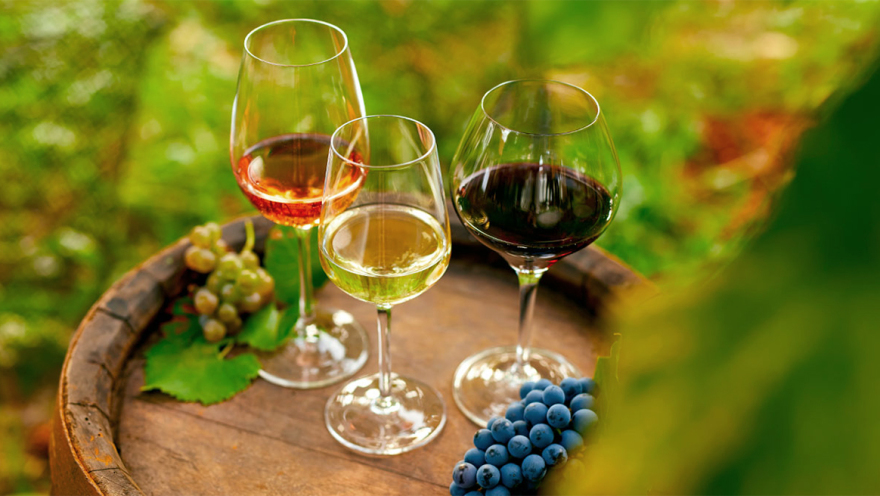 Πάμε Ινδία: Η συμφωνία ελεύθερων συναλλαγών με την ΕΕ και οι ελληνικές μπίζνες
