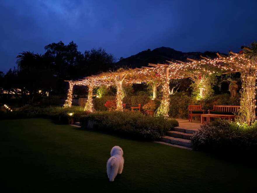 Με φιλιά στη γυναίκα του «απαντά» ο Μπρούκλιν Μπέκαμ μετά τις κατηγορίες για απαξιωτική συμπεριφορά της μητέρας του 