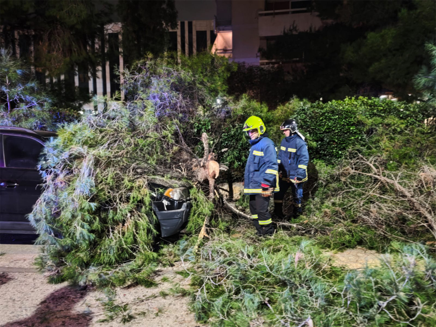 Δέντρο καταπλάκωσε αυτοκίνητο στο Χολαργό, δείτε φωτογραφίες
