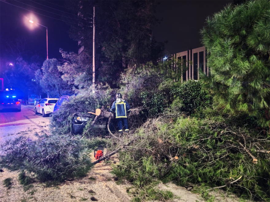 Δέντρο καταπλάκωσε αυτοκίνητο στο Χολαργό, δείτε φωτογραφίες