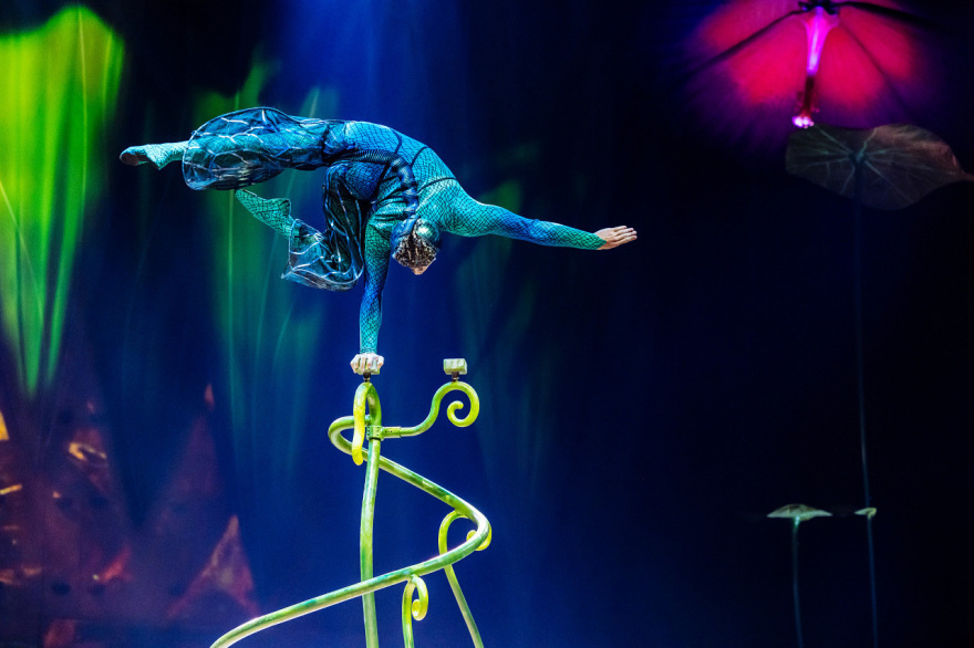 Cirque du Soleil, στα παρασκήνια του «OVO» 