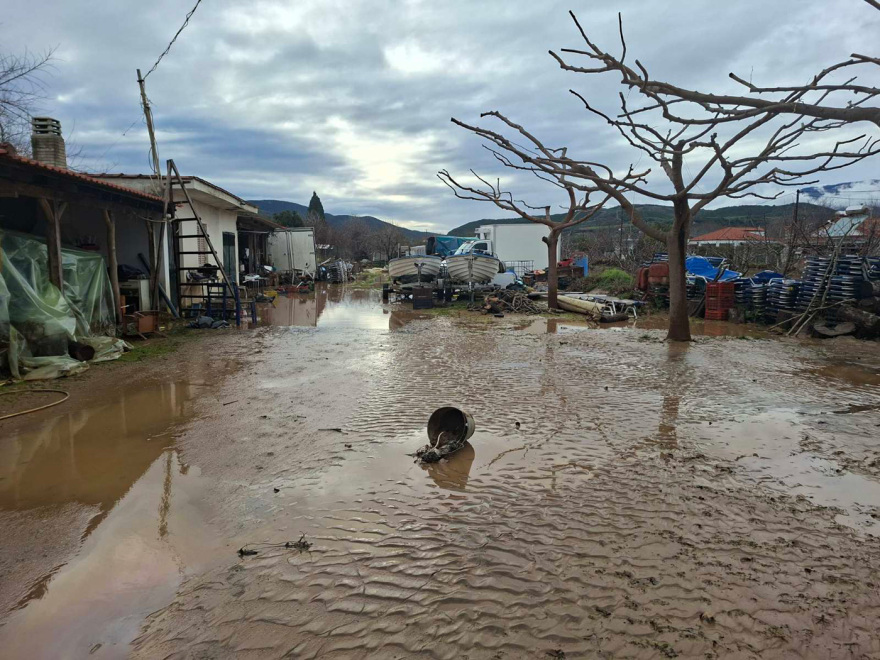 Εικόνες καταστροφής στον Αγιόκαμπο: Ποτάμια οι δρόμοι, η θάλασσα «μπήκε» στα καταστήματα, φερτά υλικά σκέπασαν την ακτογραμμή