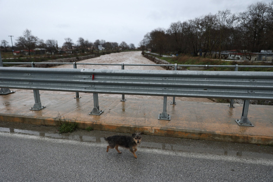 Εικόνες καταστροφής στον Αγιόκαμπο: Ποτάμια οι δρόμοι, η θάλασσα «μπήκε» στα καταστήματα, φερτά υλικά σκέπασαν την ακτογραμμή