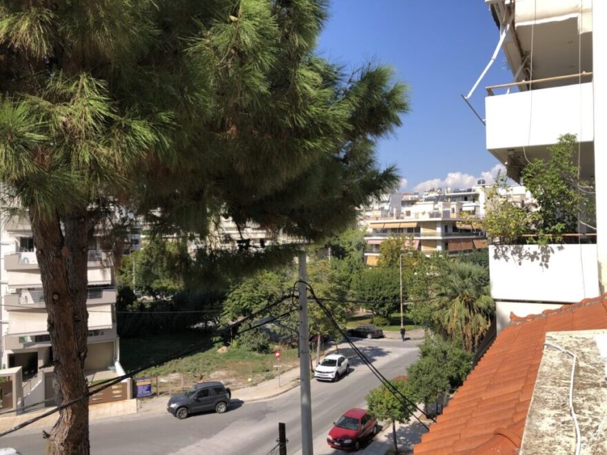 Δένδρα- παγίδες στους δρόμους της Νέας Σμύρνης και το περίφημο άλσος χωρίς... πράσινο 