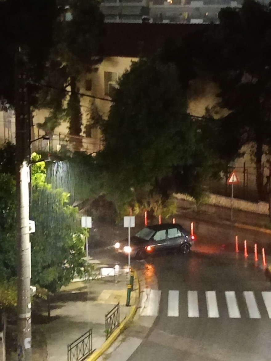 Δένδρα- παγίδες στους δρόμους της Νέας Σμύρνης και το περίφημο άλσος χωρίς... πράσινο 