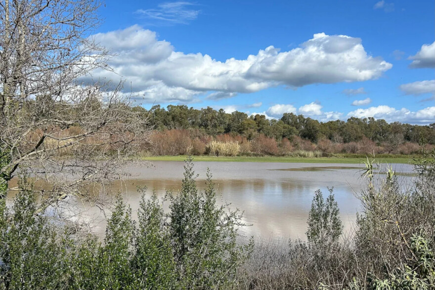 Συναγερμός στην Ηλεία από την υπερχείλιση του Αλφειού, αγώνας δρόμου για να αποτραπούν πλημμύρες 