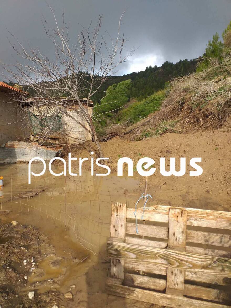Σαρωτικό το πέρασμα της κακοκαιρίας στον Πύργο: Κλειστά σχολεία, δρόμοι ποτάμια και νεκρά ζώα στο Γούμερο, δείτε εικόνες