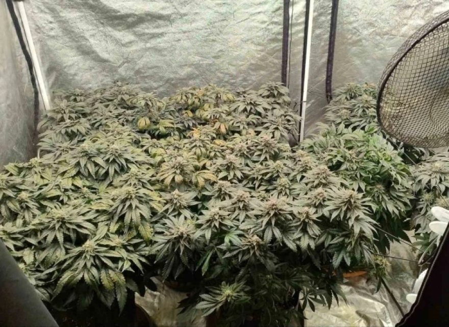 Κρήτη: Συνελήφθη 30χρονος στο Ηράκλειο για ναρκωτικά, κατασχέθηκαν σχεδόν 2,5 κιλά παράνομων ουσιών
