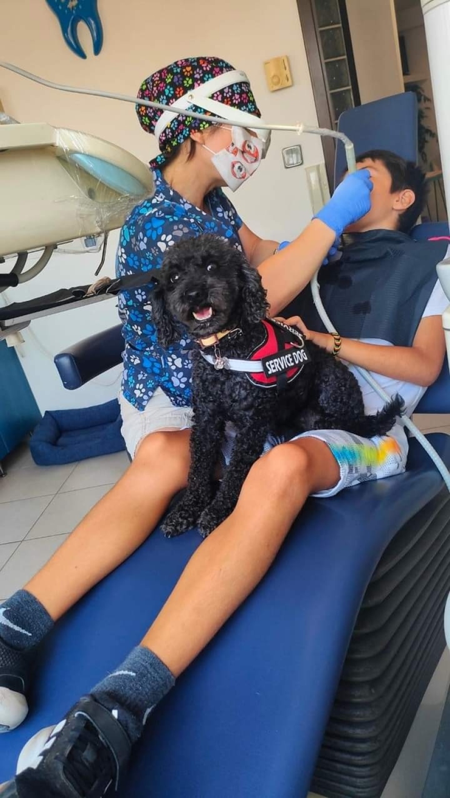 Από τον δρόμο, βοηθός σε οδοντιατρείο: Η τετράποδη Άριελ που διώχνει το άγχος για τον τροχό και τη σύριγγα