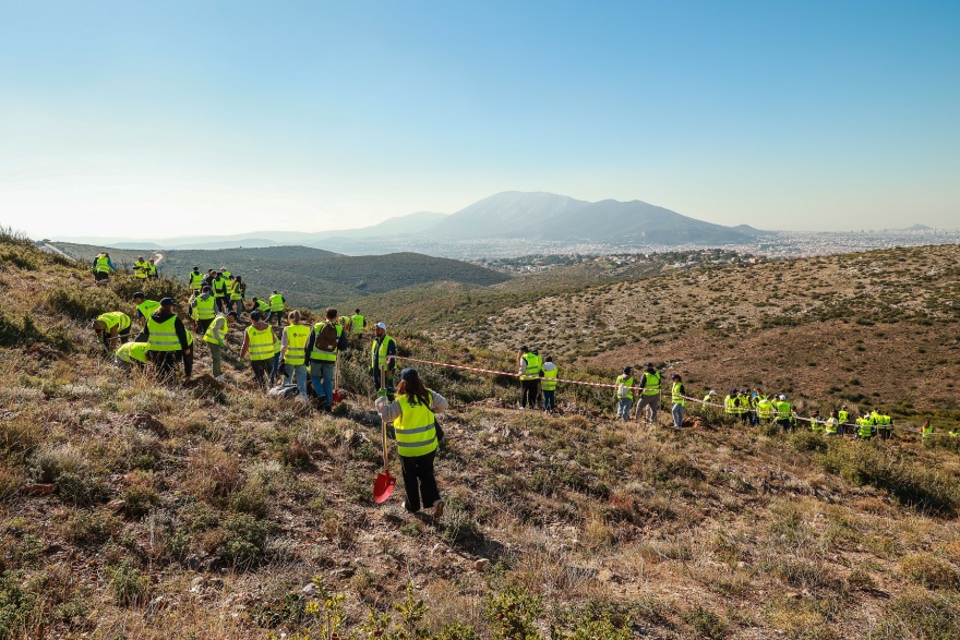 Αναδάσωση σε Πεντέλη και Παλλήνη στο πλαίσιο της περιβαλλοντικής στρατηγικής της HELLENiQ ENERGY