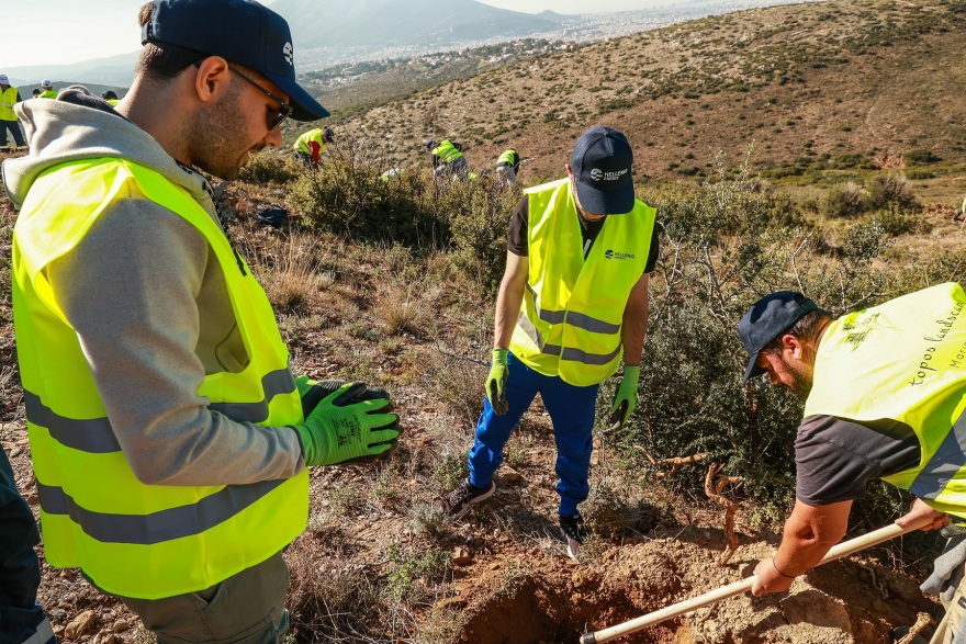 Αναδάσωση σε Πεντέλη και Παλλήνη στο πλαίσιο της περιβαλλοντικής στρατηγικής της HELLENiQ ENERGY