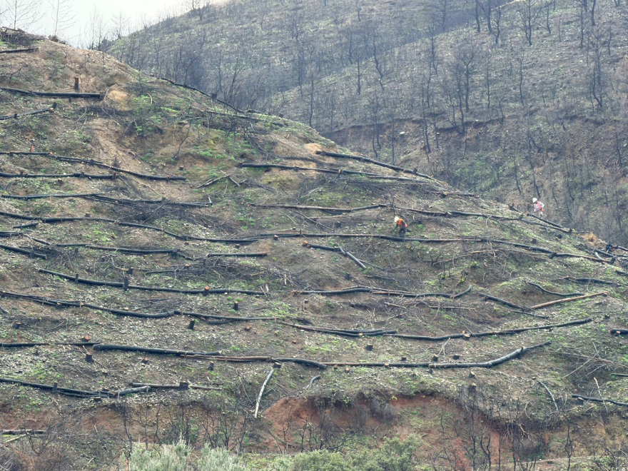 Παπασταύρου από Πάτρα: Μείωση ενεργειακού κόστους για 700.000 κατοίκους μέσω φωτοβολταϊκού πάρκου

