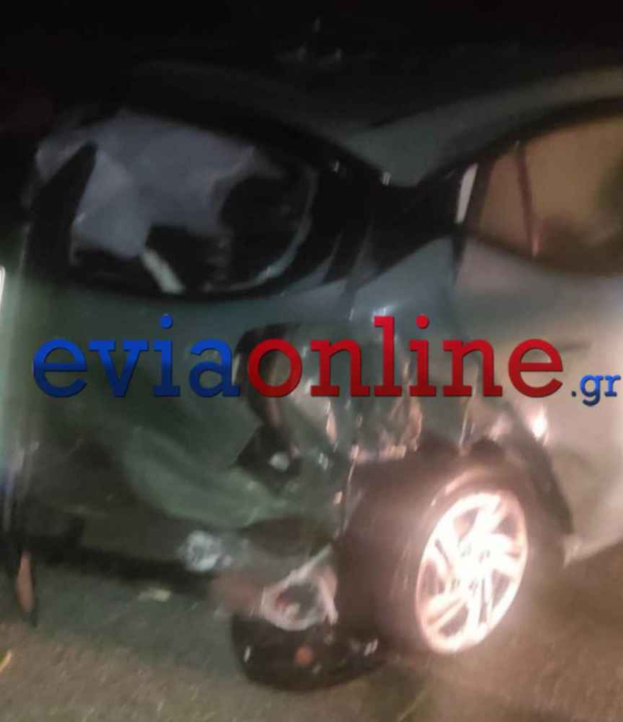 Τροχαίο στην Εύβοια:  Αυτοκίνητο χτύπησε αγριογούρουνο, τρεις τραυματίες 