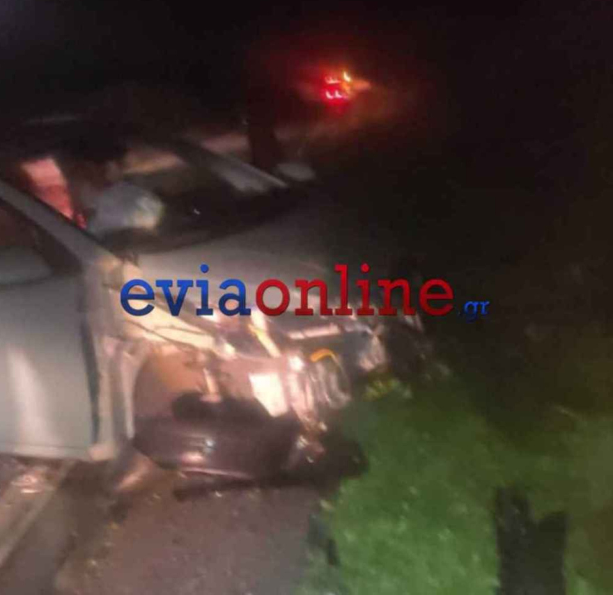 Τροχαίο στην Εύβοια:  Αυτοκίνητο χτύπησε αγριογούρουνο, τρεις τραυματίες 