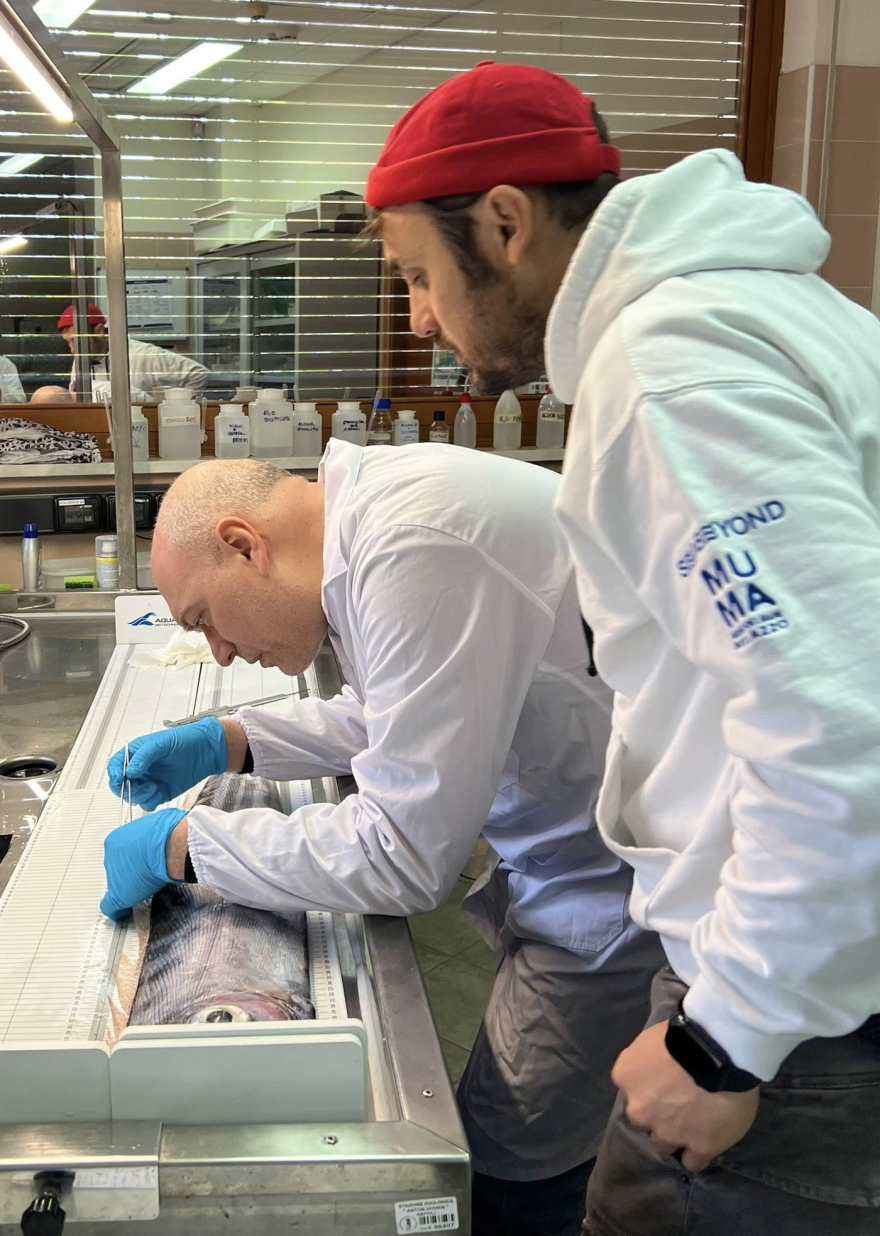 Σπάνιο ψάρι ξεβράστηκε σε παραλία της Σικελίας, δείτε φωτογραφίες