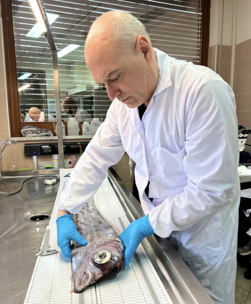 Σπάνιο ψάρι ξεβράστηκε σε παραλία της Σικελίας, δείτε φωτογραφίες