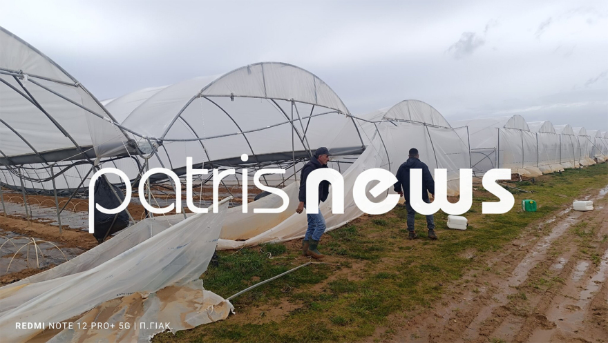 Είκοσι στρέμματα θερμοκηπίων ισοπεδώθηκαν στο Μπόρσι Ηλείας από ανεμοστρόβιλο, δείτε φωτογραφίες
