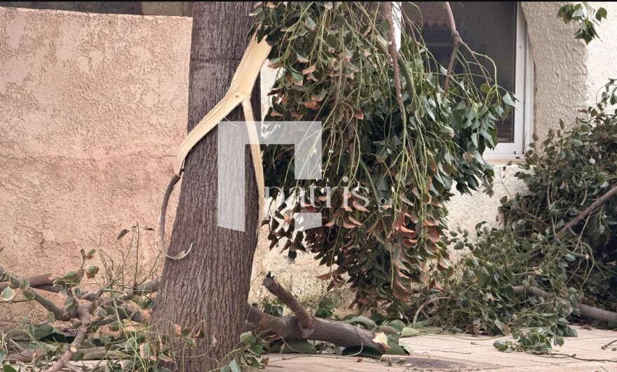 Προβλήματα από τους θυελλώδεις ανέμους στο Ηράκλειο: Έπεσαν δέντρα σε αυτοκίνητα, αδύνατο να προσγειωθούν τα αεροπλάνα