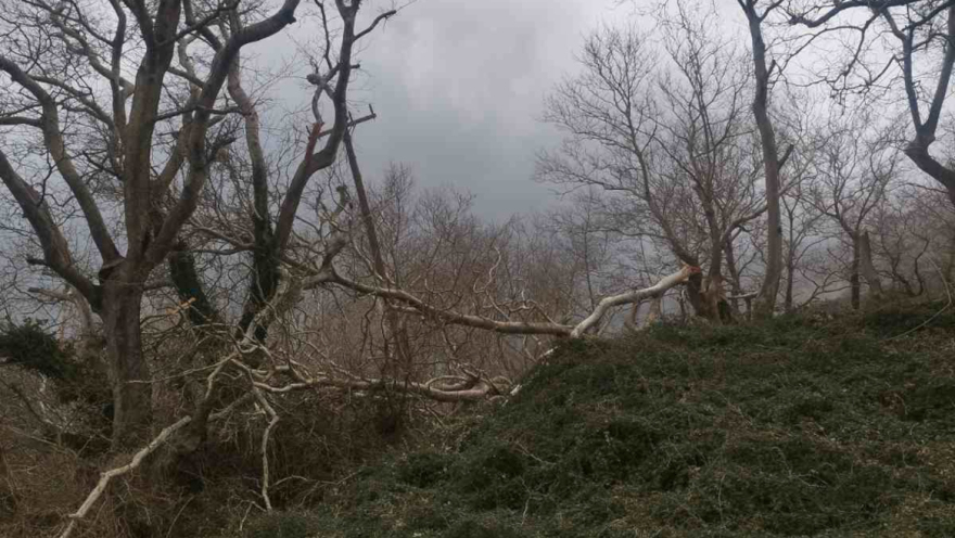 Εικόνες καταστροφής από την Ήπειρο μέχρι τα νησιά λόγω κακοκαιρίας: Απόκοσμο σκηνικό από αφρικανική σκόνη και θυελλώδεις άνεμους, βίντεο και φωτογραφίες 