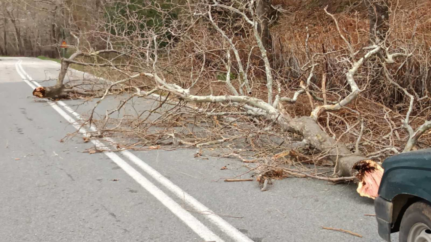 Εικόνες καταστροφής από την Ήπειρο μέχρι τα νησιά λόγω κακοκαιρίας: Απόκοσμο σκηνικό από αφρικανική σκόνη και θυελλώδεις άνεμους, βίντεο και φωτογραφίες 