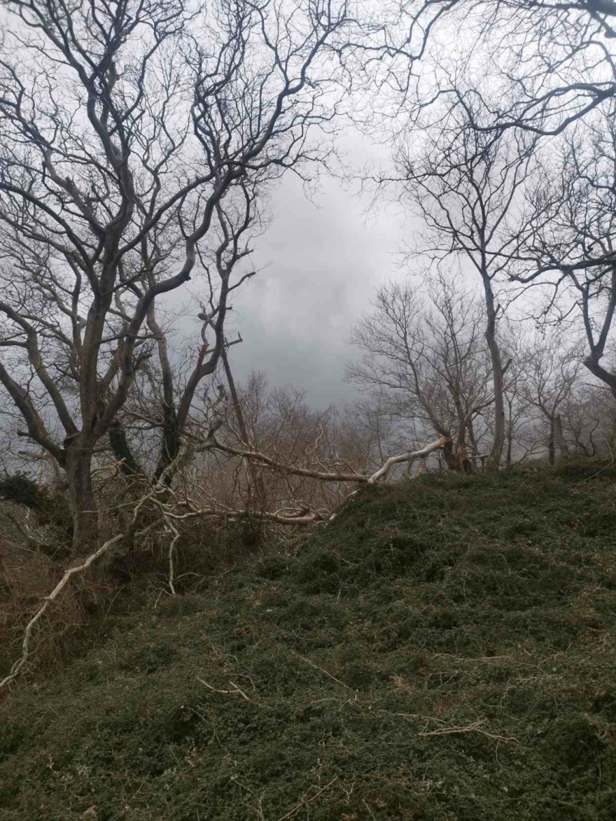 Σαρώνουν την χώρα οι ισχυροί άνεμοι και  η αφρικανική σκόνη: Μεγάλες ζημιές από κατολισθήσεις και πλημμύρες σε Ήπειρο και Πελοπόννησο, δείτε βίντεο