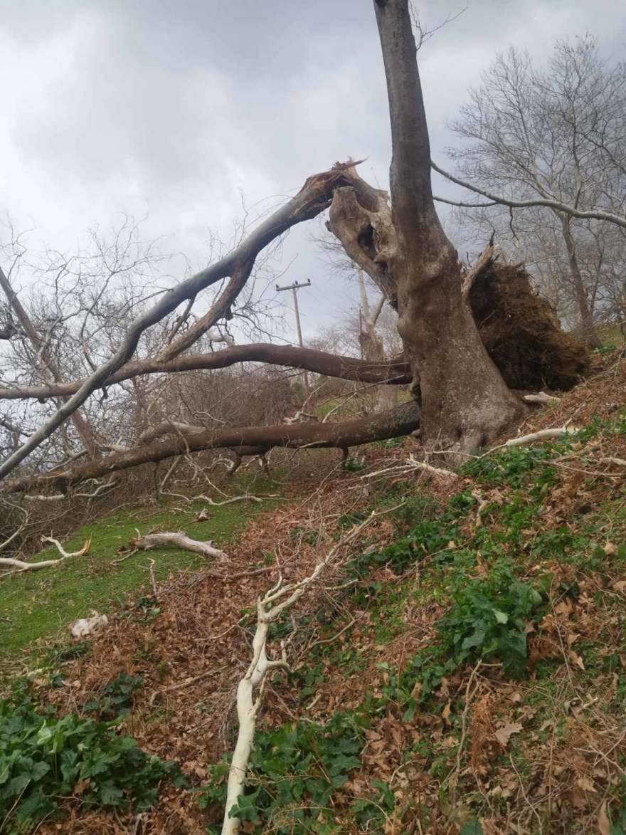 Σαρώνουν την χώρα οι ισχυροί άνεμοι και  η αφρικανική σκόνη: Μεγάλες ζημιές από κατολισθήσεις και πλημμύρες σε Ήπειρο και Πελοπόννησο, δείτε βίντεο