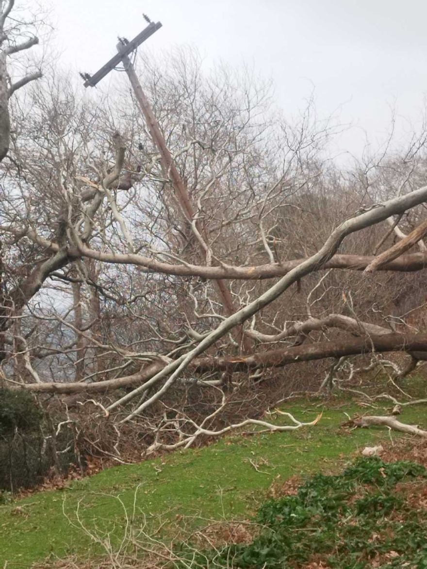 Σαρώνουν την χώρα οι ισχυροί άνεμοι και  η αφρικανική σκόνη: Μεγάλες ζημιές από κατολισθήσεις και πλημμύρες σε Ήπειρο και Πελοπόννησο, δείτε βίντεο