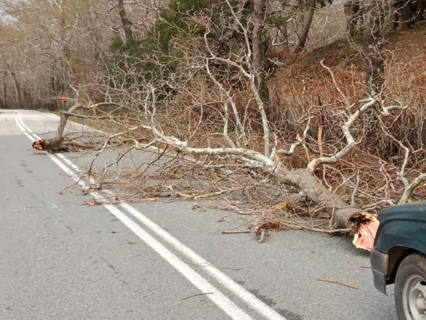 Σαρώνουν την χώρα οι ισχυροί άνεμοι και  η αφρικανική σκόνη: Μεγάλες ζημιές από κατολισθήσεις και πλημμύρες σε Ήπειρο και Πελοπόννησο, δείτε βίντεο