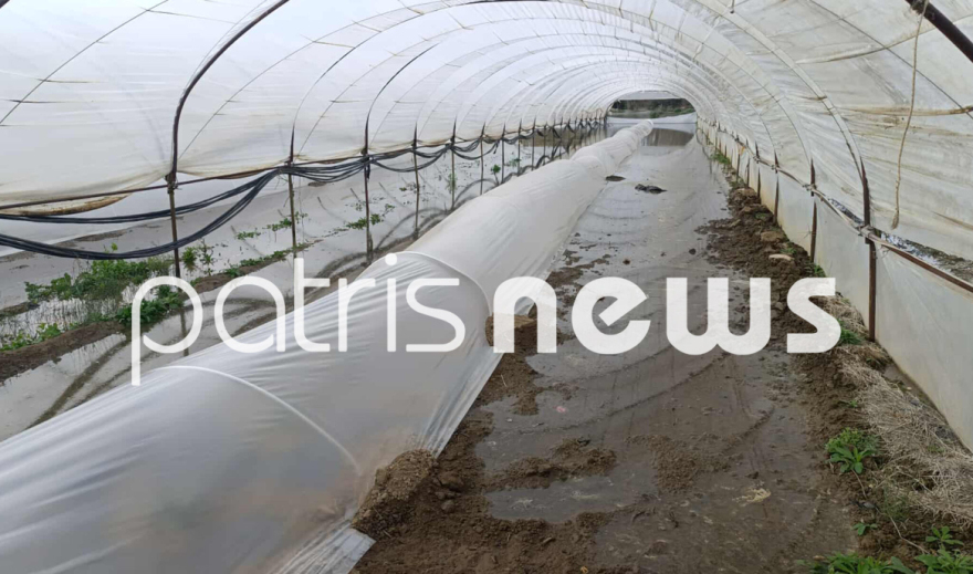 Σπίτια και καλλιέργειες στο Βαρθολομιό πλημμύρησαν μετά την απελευθέρωση υδάτων από το Φράγμα Καραμανλή