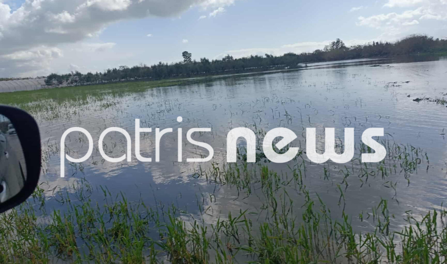 Σπίτια και καλλιέργειες στο Βαρθολομιό πλημμύρησαν μετά την απελευθέρωση υδάτων από το Φράγμα Καραμανλή