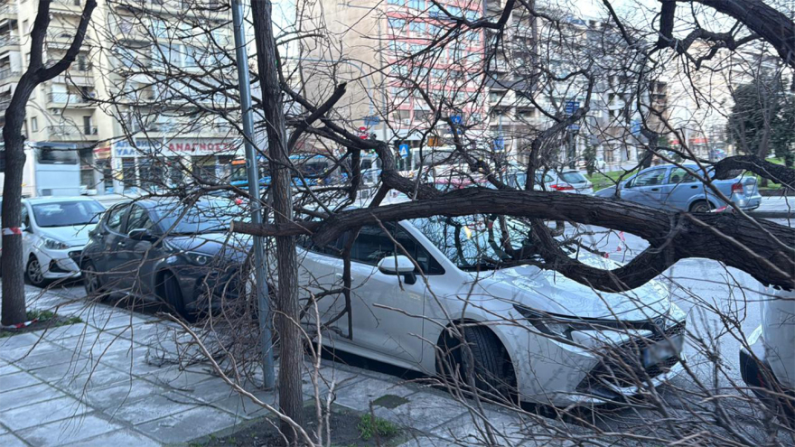 Μεγάλα προβλήματα από την κακοκαιρία: Πτώσεις δέντρων σε Κρήτη και Θεσσαλονίκη λόγω των ανέμων,  πλημμύρισε η Πάρος