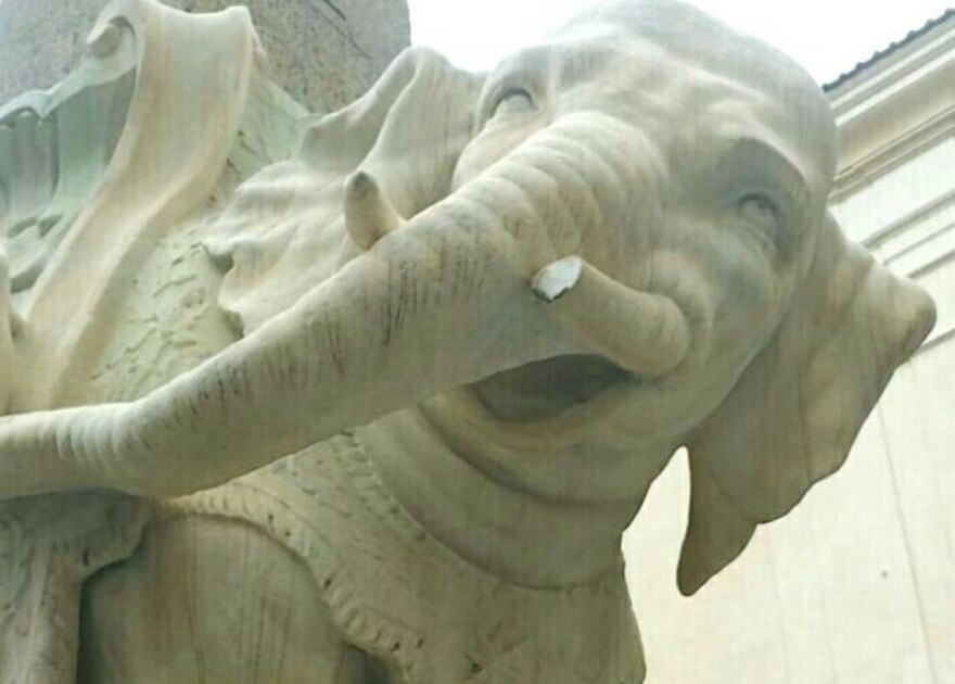 Βανδάλισαν ιστορικό γλυπτό στη Ρώμη: Άγνωστοι έσπασαν τον χαυλιόδοντα του «Μικρού Ελέφαντα», δείτε βίντεο